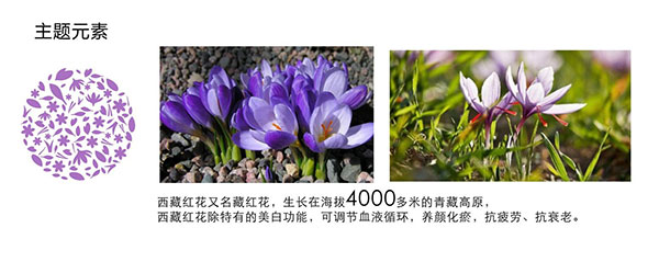 柏束花草潤白系列主題設(shè)計元素
